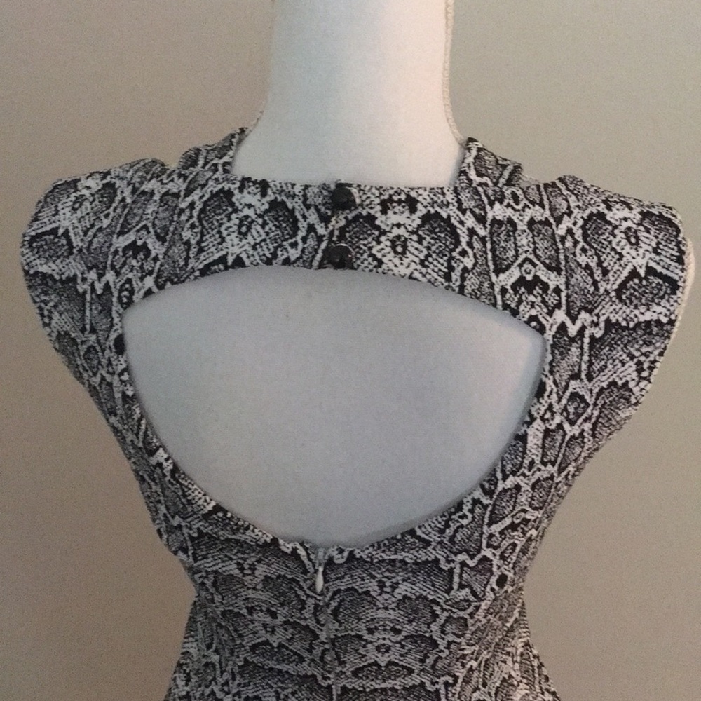 Cache’ Snakeskin Sprint Sheath Dress - image 4